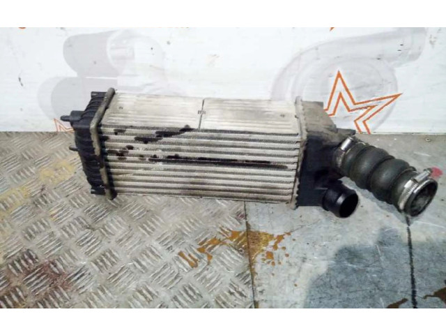 Интеркулер     Peugeot Partner 