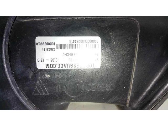 Zpětné zrcátko pravé BMW X6 E71 2007 7136887, 7181175