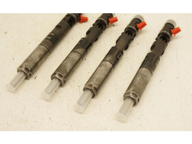 Комплект форсунок 2471LY23F53    Renault Clio III   