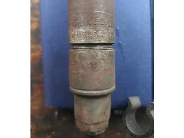 Форсунка 038130201F, 21900006701 Skoda Octavia Mk1 (1U)