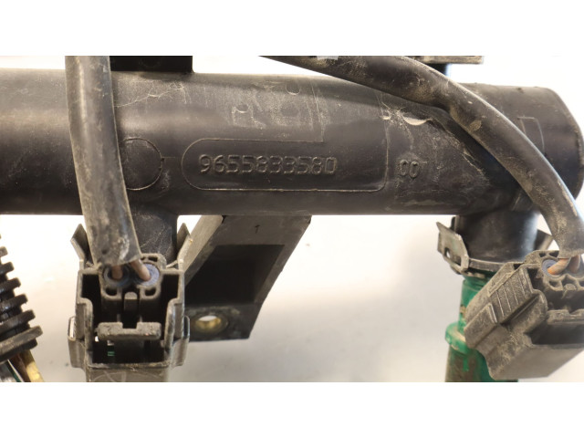 Топливная рампа    Citroen C3  