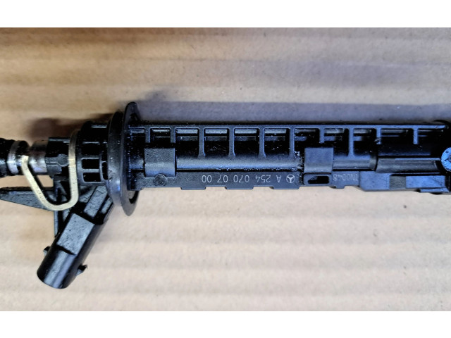 Форсунка A2540700700, 0261500810 Mercedes-Benz GLC C254