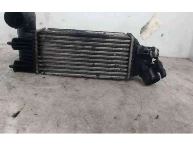 Интеркулер 384F3, 384F3 Peugeot 607