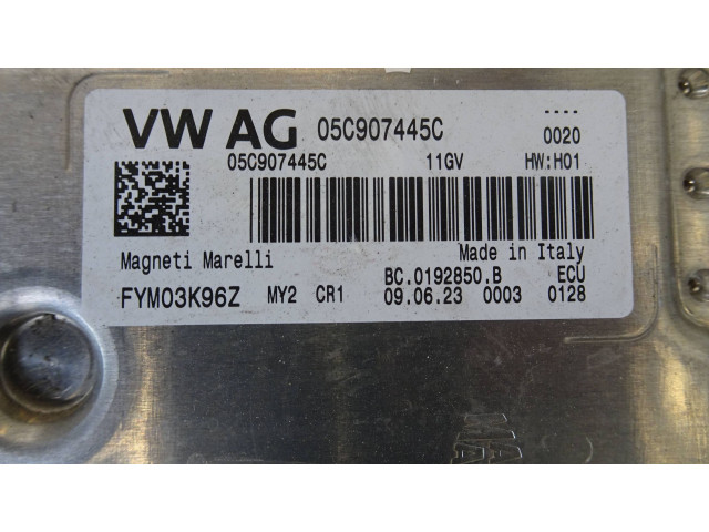 Блок управления двигателя 05C907445C   Skoda Fabia Mk4 (6VA)