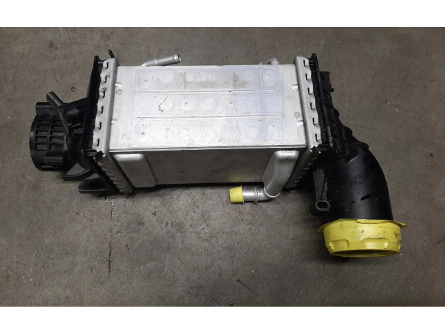 Интеркулер 04E145785E Volkswagen Golf VIII