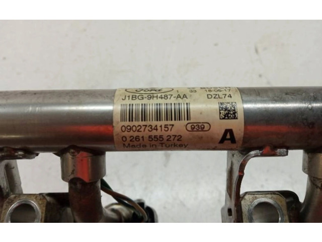 Топливная рампа 0261555272, ECOBOOST Ford Fiesta