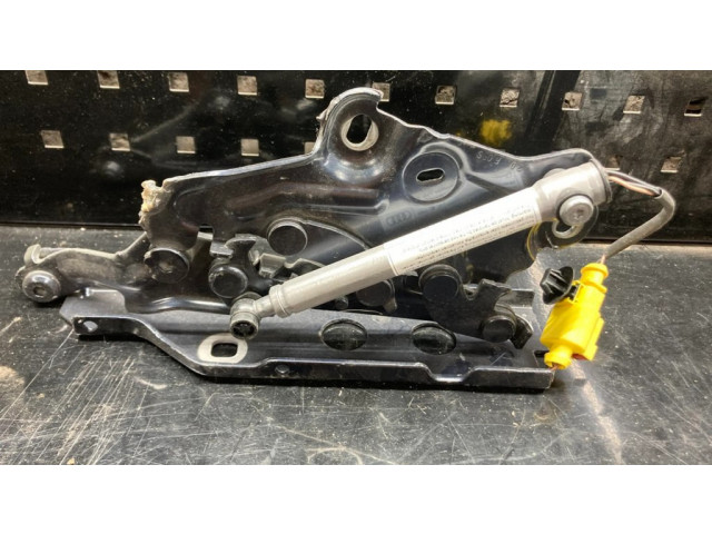 Петля (петли) капота двигателя