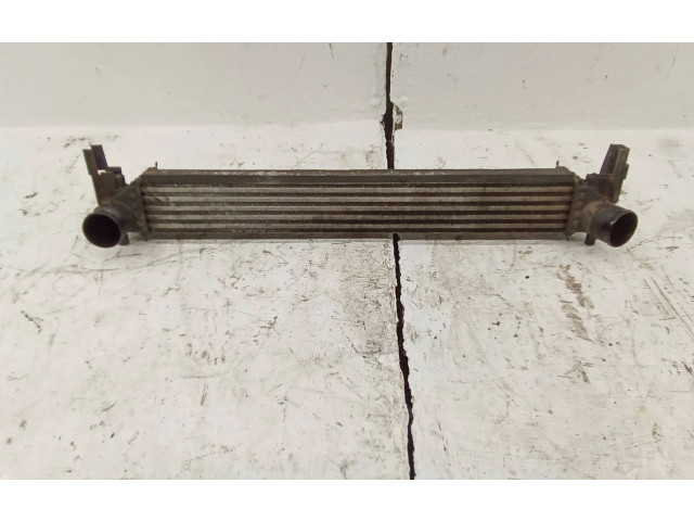 Интеркулер W0225002 Skoda Roomster (5J)