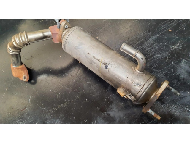 Охладитель EGR