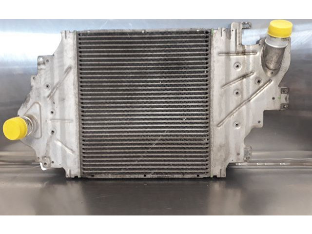 Интеркулер 131302020181 Renault Clio II