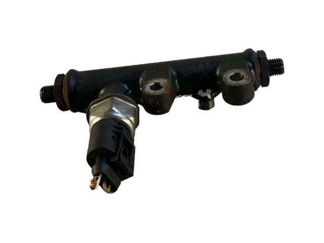 Топливная рампа 4R8Q9C066AE, 5WS40128 Jaguar S-Type 2.7