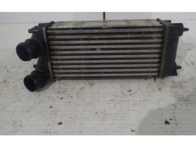 Интеркулер  00000384N9   Peugeot 5008 