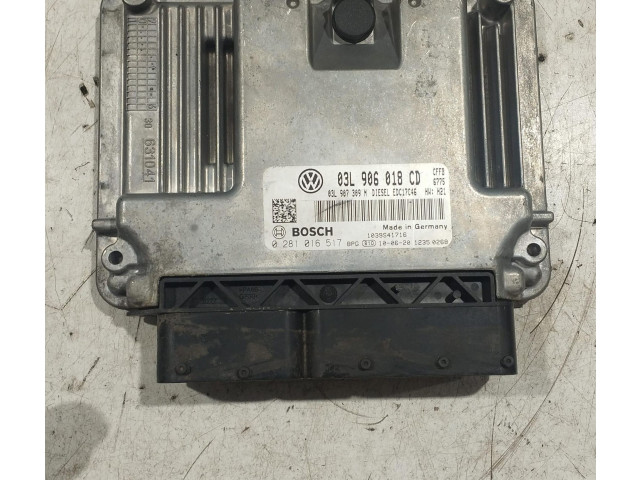 Řídící jednotka 0281016517, 0281016517 Volkswagen Tiguan 2010