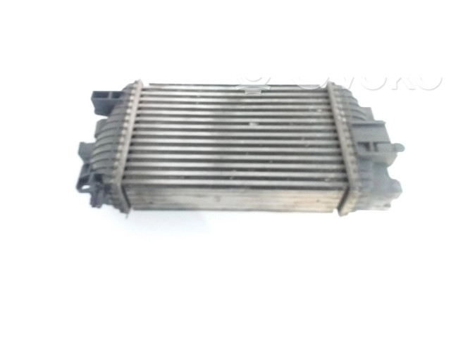 Интеркулер T2935004 Opel Meriva B