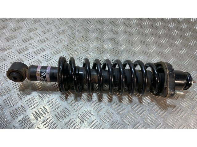 Задний aмортизатор