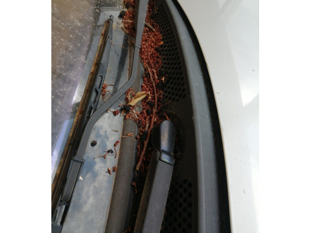 Поршень Двигатель стеклоочистителей DV4TD 00006401F4  Citroen C3  