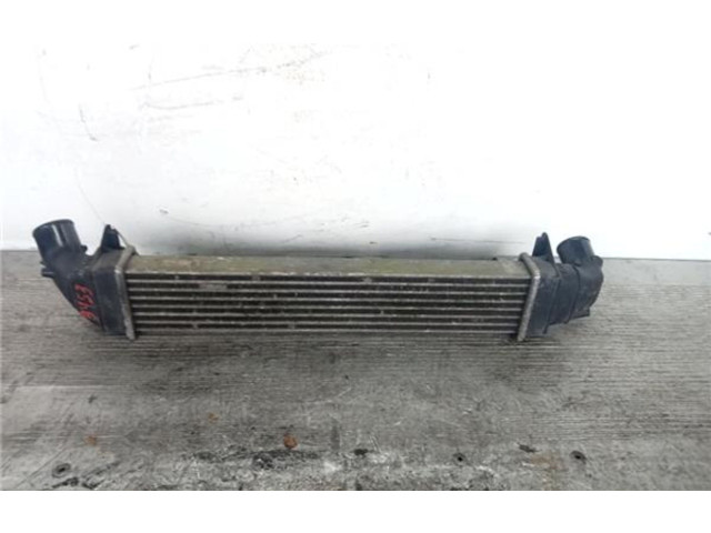 Интеркулер  8200424155, 8200424155   Dacia Logan I 