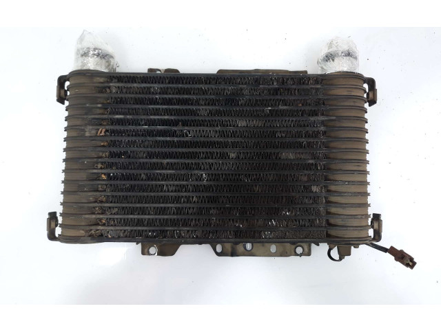 Интеркулер 1271000421, MD158600 Mitsubishi L200