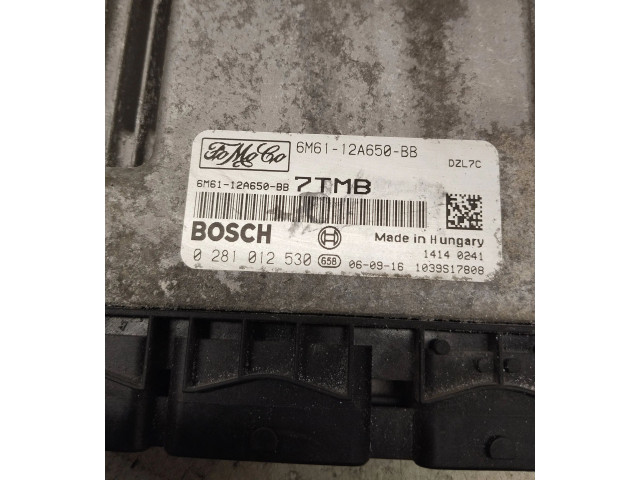 Řídící jednotka 6M6112A650BB, 0281012530 Mazda 3 I 2007