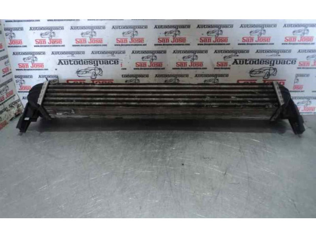 Интеркулер Skoda Rapid (NH)