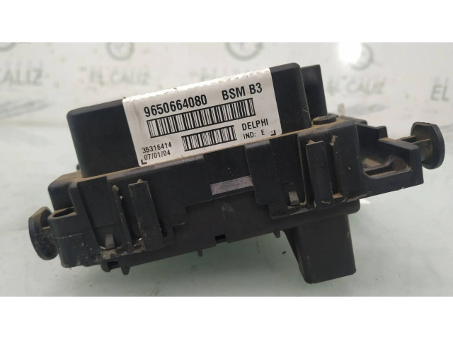 Блок предохранителей 9650664080 Citroen Xsara