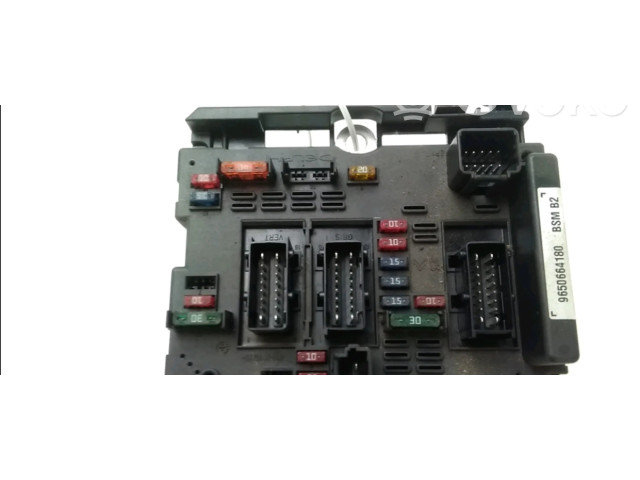 Pojistková skříňka Řídící jednotka BSM Peugeot 206 2004