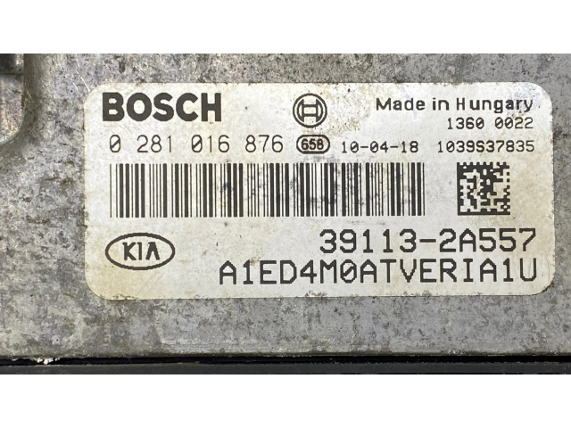 Řídící jednotka 0281016876, 391132A557 KIA Ceed 2010