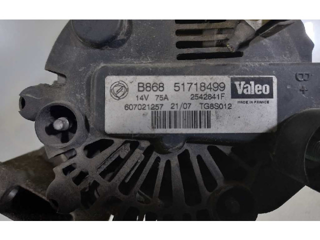 Генератор 51718499, TG8S012   Fiat Punto (199)      