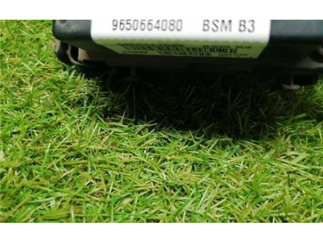 Блок предохранителей 9650664080, BSMB3 Citroen Xsara