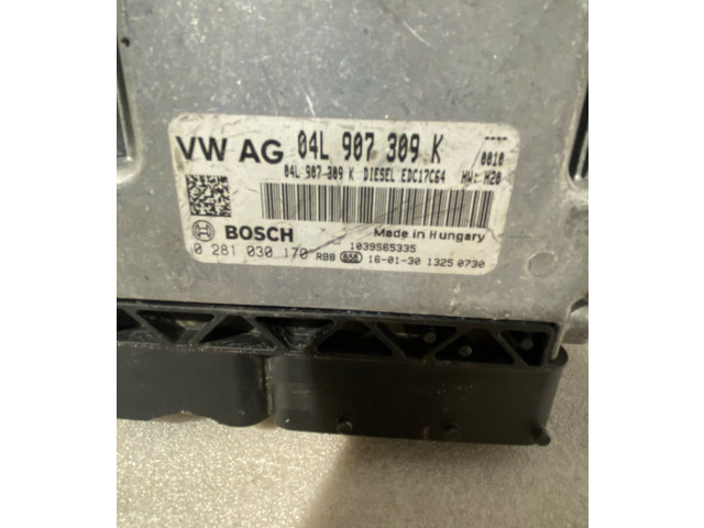 Řídící jednotka 04L907309K, 0281030170   Volkswagen Tiguan 2008