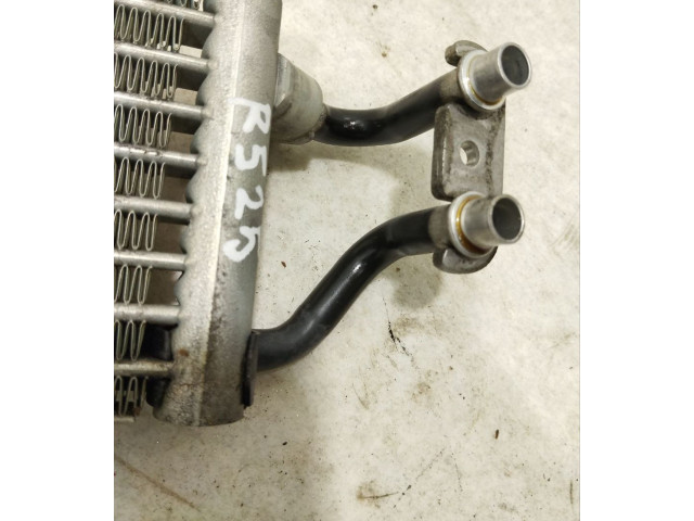 Vstřikovač 7P0317019A, R525 Porsche Cayenne (92A) MCG.EA