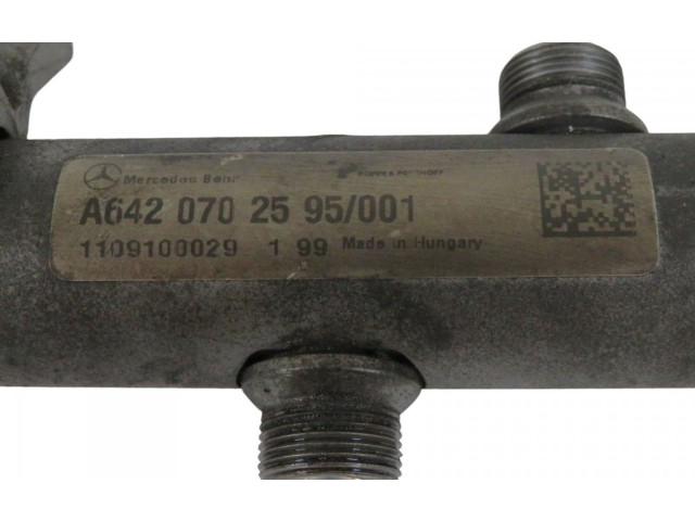 Vstřikovací lišta A6420702595, A6420702595 Mercedes-Benz GL X164 OM 642.820