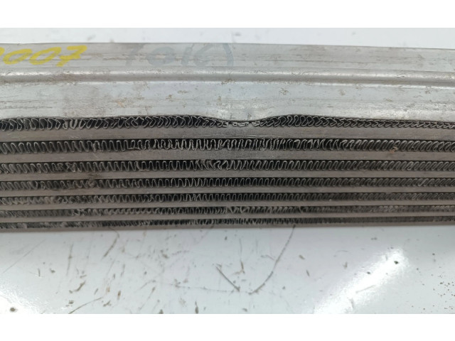 Интеркулер  866450000, AMASSADOFOTOS   Fiat Grande Punto 