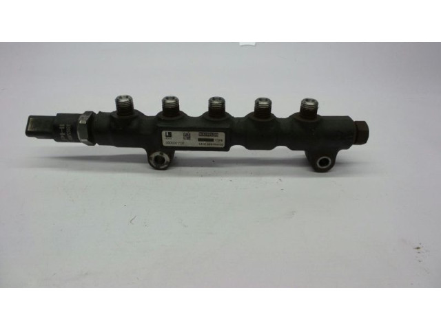 Топливная рампа 9642095280, 51HP02-02   Citroen C3  