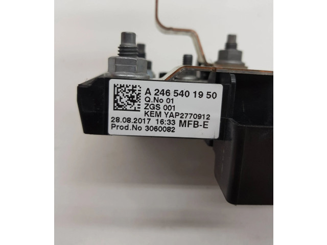   Pojistková skříňka A2465401950, 3060082   Mercedes-Benz GLA W156 2017