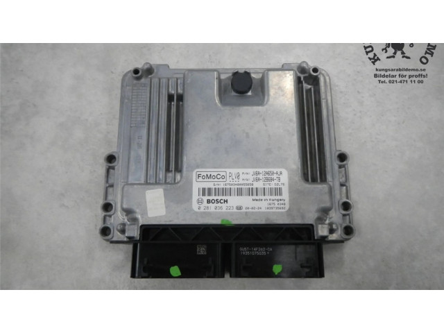 Блок управления двигателя 0281036223, 2313997   Ford Transit -  Tourneo Connect