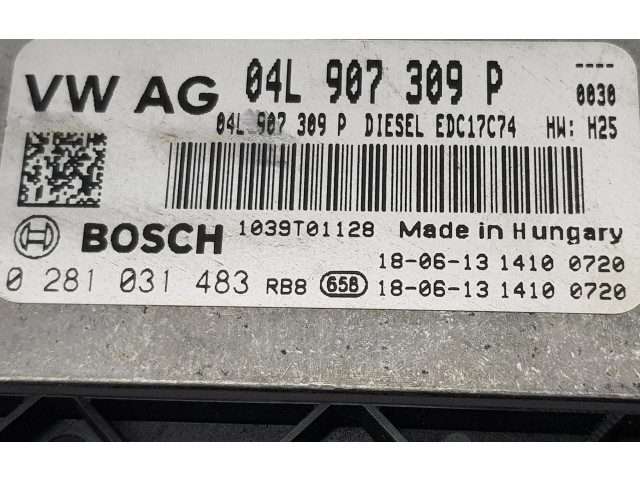 Řídící jednotka 04L907309P, 04L907309P   Volkswagen Tiguan 2018