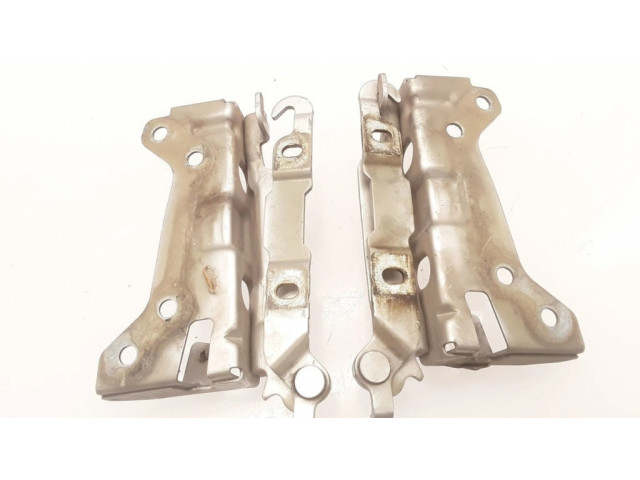 Петля (петли) капота двигателя