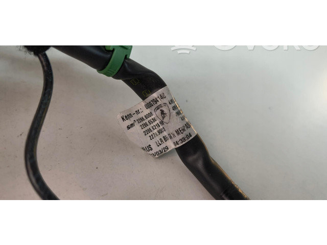 Zpětné zrcátko Lamborghini Urus 2021 0000794148