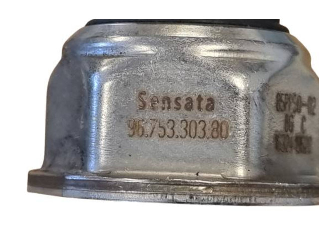 Топливная рампа 9802438180   Citroen C3 Aircross  