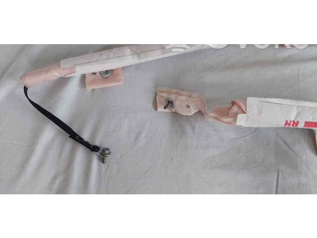 Боковая подушка безопасности 0589P1000343, 100526200 Tesla Model S