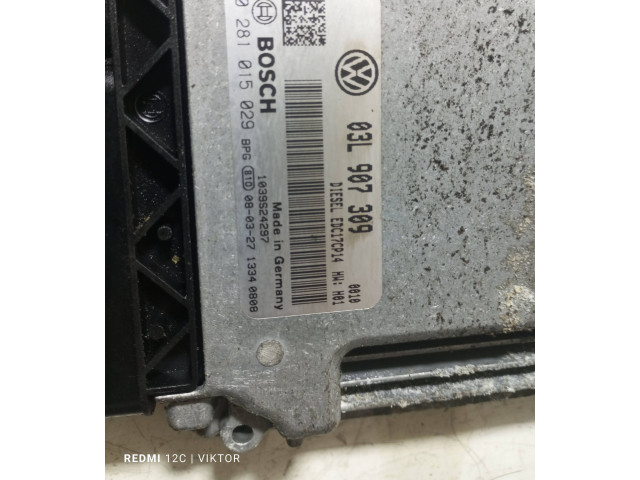 Блок управления двигателя 03L907309, 0281015029   Volkswagen PASSAT B6