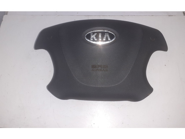 Přístrojová deska KIA Carnival 2007 569004D520