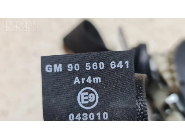 Задний ремень безопасности