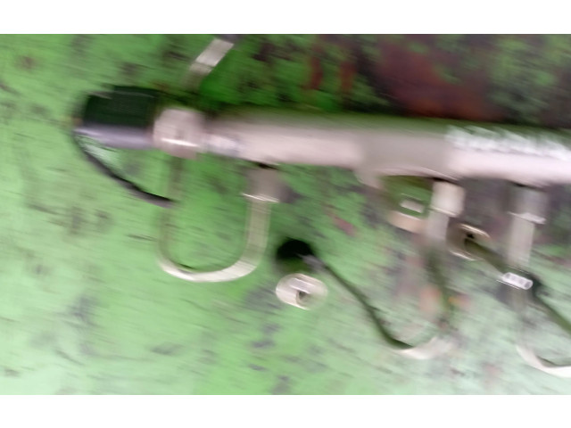 Топливная рампа R03L125A Skoda Fabia Mk2 (5J)