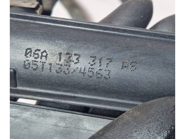 Комплект форсунок 06A133317AS Volkswagen Jetta V