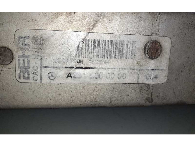 Интеркулер  A2515000000   Mercedes-Benz R W251 