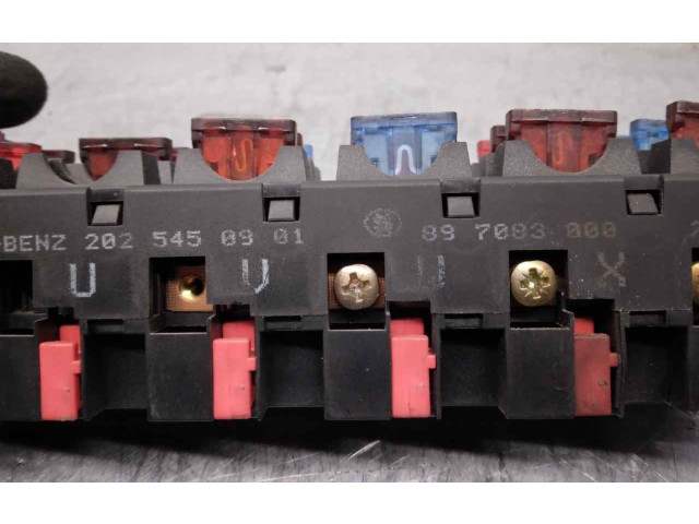 Pojistková skříňka Řídící jednotka BSM 2025450901, 897083000 Meredes-Benz C W202 1998