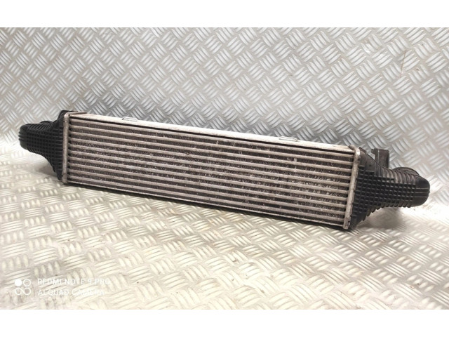 Интеркулер A2045000200 Ford Fiesta