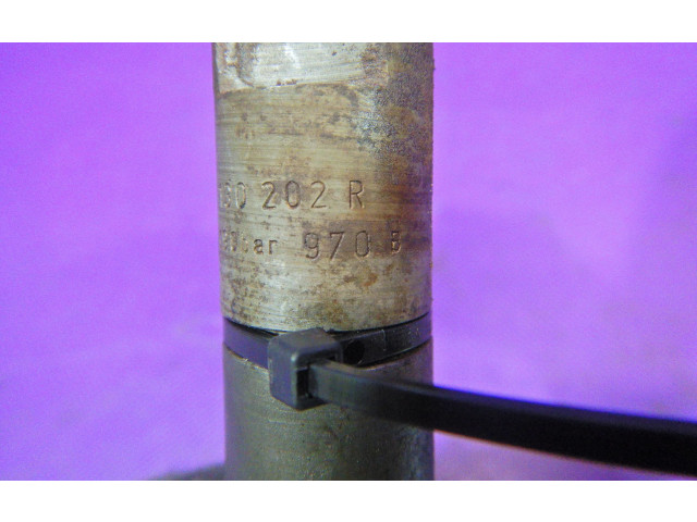 Форсунка 028130202R, 028130202R    Volkswagen Lupo  ASY 